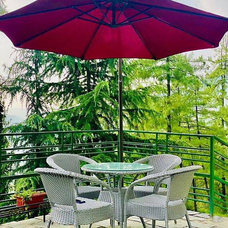 Valley View Resort Mashobra - Best Holiday Home For Vacations Шімла Екстер'єр фото